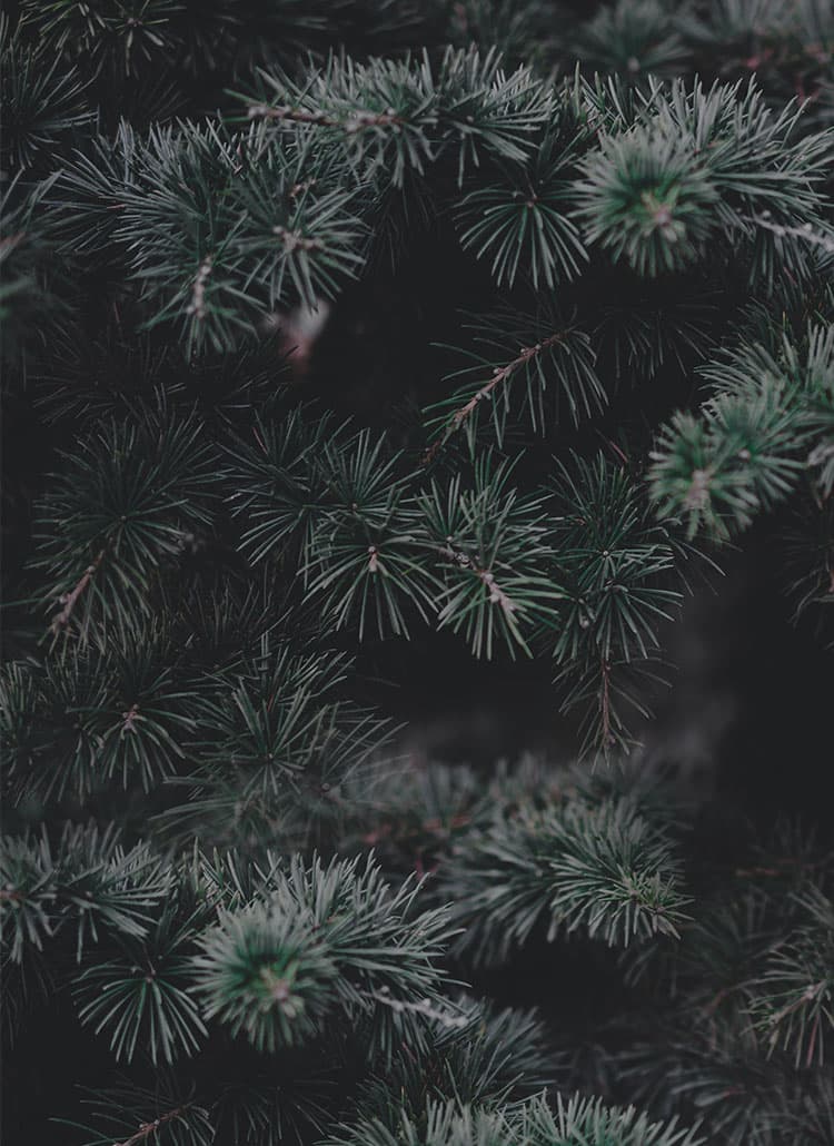 christmas_tree_mobile_750x1030